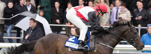 Cold Move Marble Hill Stakes – A big success!