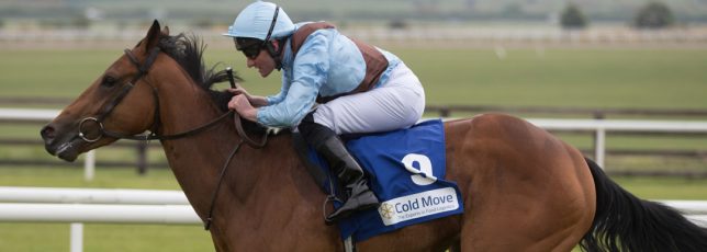Cold Move Marble Hill Stakes 2018
